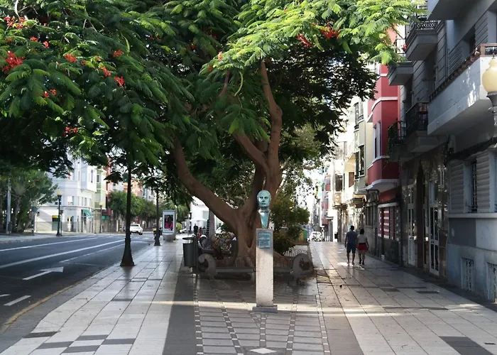 Stylish Near Old Town 公寓 大加那利岛拉斯帕尔马斯